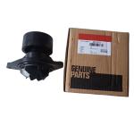 OEM ISDE Cummins Water Pump Dongfeng Motor 4891252