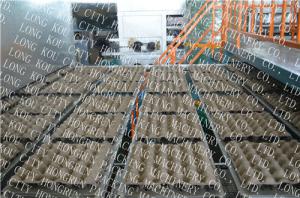 Automatic Pulp Molding Paper Egg Tray Forming Machine 6000-8000PCS/H