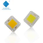 COB LED CHIP High Power 4046 50W 100W 150W 200W Diode for Street Flood Light