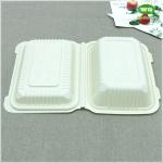 7x5 Inch Biodegradable Bioplastic Hinged food boxes,natural plants eco-friendly