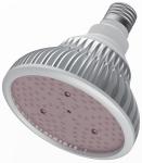 IP44 20W Horticulture LED Grow Light Bulb For Indoor Plants 2 Years Warranty