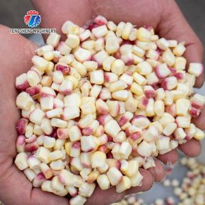 Corn thresher processing production Supplying Machine