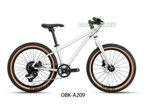 China Alu Alloy Kids BMX Bike 20 Inches with Shimano 9 Speed Hydraulic Disc Brake factory