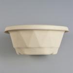 TUV 6 Inch 5 Inch Moulded Clamshell Mini Burger Box