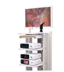 China Medical Imaging Equipment Laparoscopy 4K Endoscope Camera System DJSXJ-IIb factory