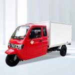 3 Wheels Motorized Tricycle 1000W 12V 120Ah Saint Cargo Tricycle for Other