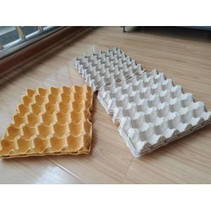 Environment Friendly Paper Egg Tray Making Machine , Egg Carton Machine