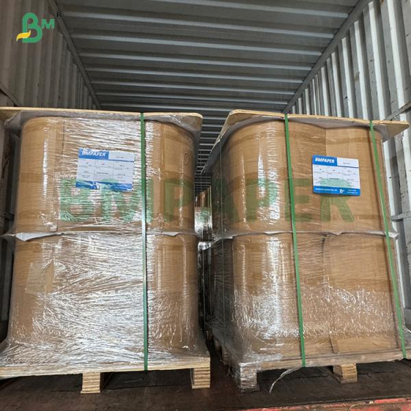 50gsm Bleached Porous Filter Paper For Electric Drip Coffee Makers