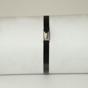 China UV Resistant Black 316 Stainless Steel Cable Ties Polyester Coated SS Zip Ties factory