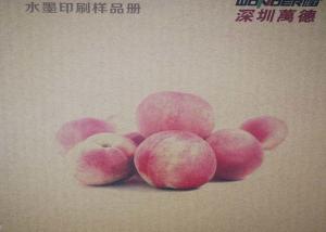 China Corrugated Box Industrial Digital Printing Machine Save Time WDR200-44A factory