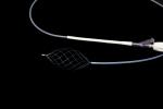 Oval Shape Stone Retrieval Basket With 360° Rotatable Ergonomic Handle