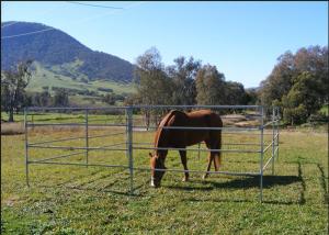 China 1.8m Height Cattle Farm Panels , Animal Metal Horse Fence Panels Flexible factory