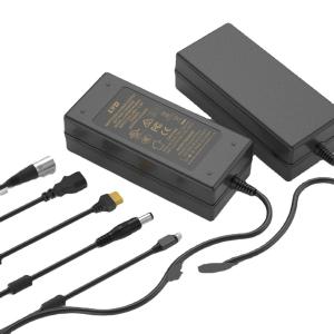 Phosphate LiFePO4 18650 Lithium Battery Chargers 48V Golf Trolley Use