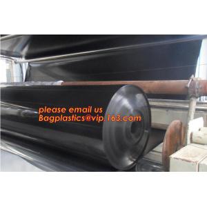 eco-friendly hdpe geomembrane liner geomembrane price,eco-friendly hdpe
