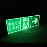 Rectangle Subway Photoluminescent Signage Fire Evacuation Door Signs