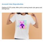Desktop 300mm DTF Transfer Inkjet Machine Tshirt Printer with F1080 XP600 Head