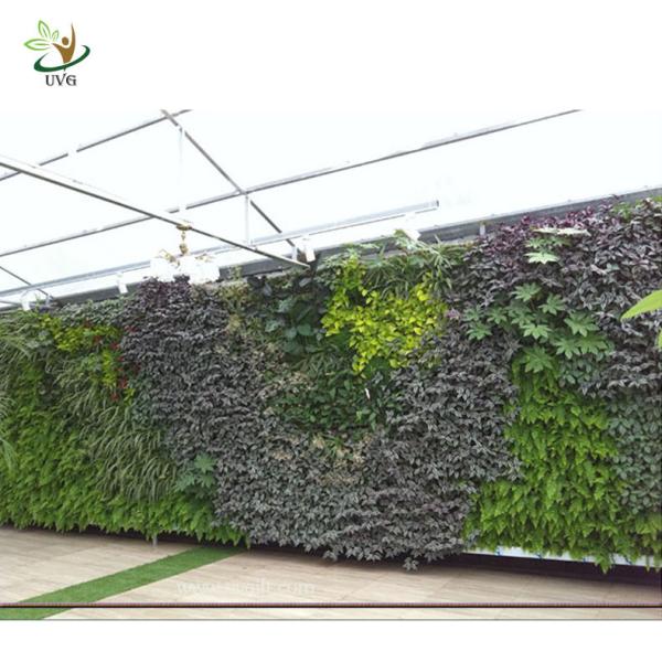 UVG GRW022 Decorative Artificial Plants Garden Wall Decoration Festival
