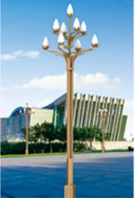 China 80W-240W Combined lighting rod series LED Pole light Street Lights Outdoor factory