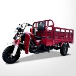 Powerful 175CC/200CC/250CC Light Loading Trike Motorized Cargo Tricycle for