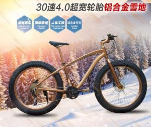 China Load 150kg 30 Speed 26 Inch Wheel Fat Tire Sand Bike factory