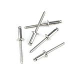 Customized Size Ss316 Domed Stainless Steel Countersunk Pop Rivet Metal Open End