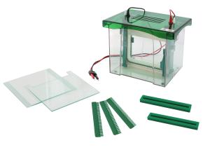 China Small Size Polyacrylamide Gel Electrophoresis Machine 1～2 Pieces Gel Amount Jy-jx5l factory