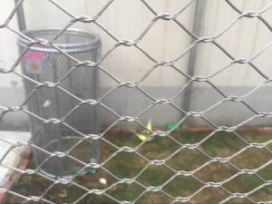 China Knotted Aviary Wire Fencing , Bird Cage Wire Mesh With Stainless Steel 316 304 factory