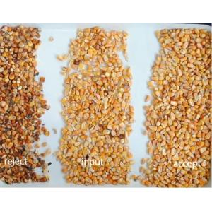 High Speed Self-Cleaning For Grain Rice Beans Sorting Operations Color Sorting