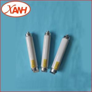 China CE Certified Electric Transformer Fuse Short Circuit Protection Sdldj-12/31.5 factory