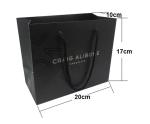 Luxury custom logo printing shopping paper bag gift packaging bag