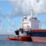 Logistics International Sea Freight Services From China To Singapore