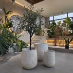Lightweight Fiber Clay Planter For Both Indoor And Outdoor Home Garden Decor