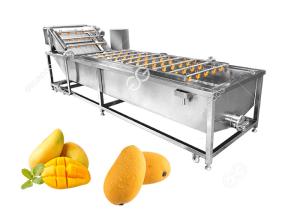 China Sterilization And Disinfection Mango Washing Machine Fruit Washing Machine Factory factory