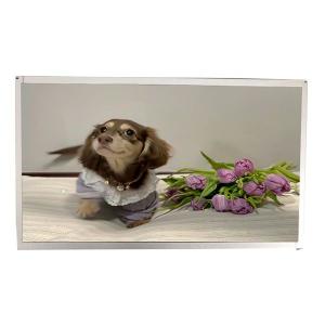 China 18.5 Inch Lcd Panel Tft Monitor High Tni Outdoor Machine factory