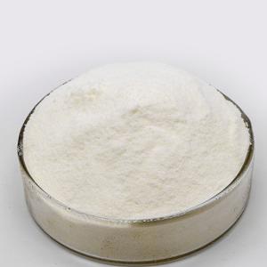 China Food Grade Bromelain Gluten 2400GDU Bromelain Powder For Protein Hydrolysis factory