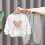 Boys And Girls Children'S Long Sleeve Set Cartoon Pattern