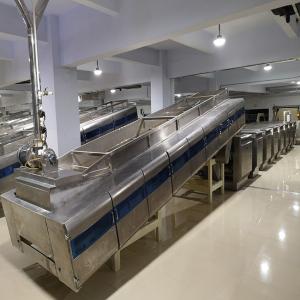 China Fully Automatic Stick Noodles Production Line Plant ISO9001 CE factory