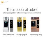 Fingerprint Frameless Glass Door Locks
