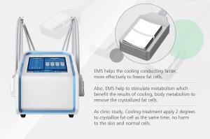 China 4 Handles Cryolipolysis 30Hz EMS Machine 10.4 inch color touch screen factory