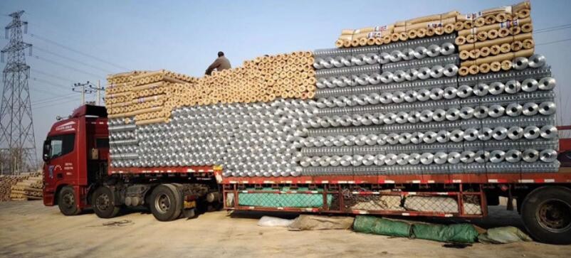 Moisture Proof Galvanized Double Wire Mesh Fence 2.5m Gauge Powder Coated