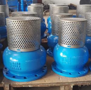 China DN250 PN16 GG25 Screen SS304 foot valve factory