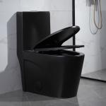 One-Piece Compact Elongated Dual-Flush Toilet 28 Inches