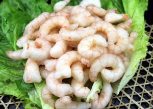 China Shrimp Swimming Crab Frozen Red Shrimp Pud Solenocera Melantho Raw factory