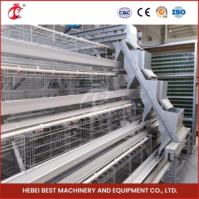 Automatic Chicken Cage Equipment A Frame 4 Tier Layer Cage System Doris Shi