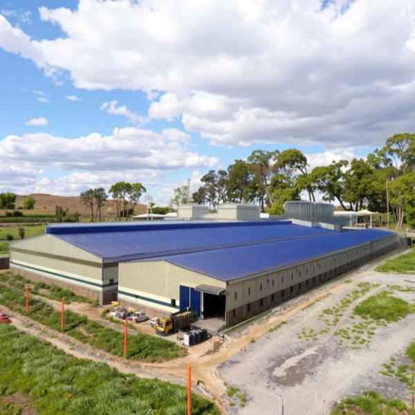 China Custom Steel Structure Chicken House for Poultry Farming factory