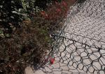 Durable Hexagonal Wire Netting Stone Cage Nova-168 High Tensile Strength