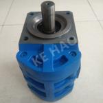 CBGJ Single Pump Rhomb cover Flat key Blue Compact Original Gear Pump For