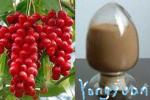Schisandra Extract 2% ,5%, 9%Schisandrins, anti aging, Protect liver,CAS.: 7432
