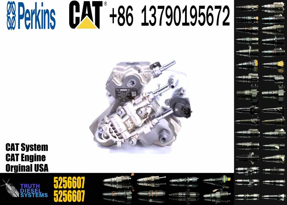 High Pressure Fuel Injection Pump 2643D641 2643D640 2644H032