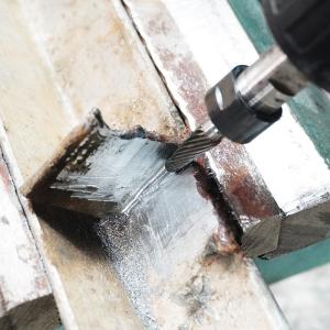 Carbide Double Cut Tree Shape Radius End Burrs File for Cutting Tooth Processing